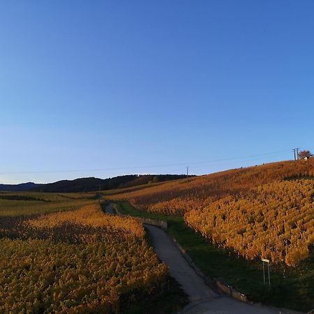 Charmant logement au cœur des vignes Bergheim Extérieur photo
