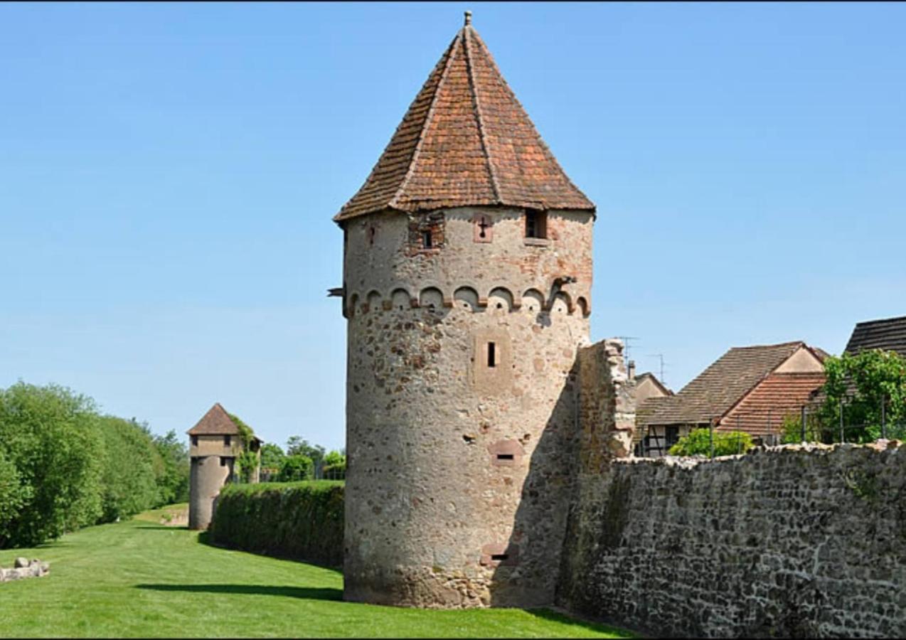 Charmant logement au cœur des vignes Bergheim Extérieur photo