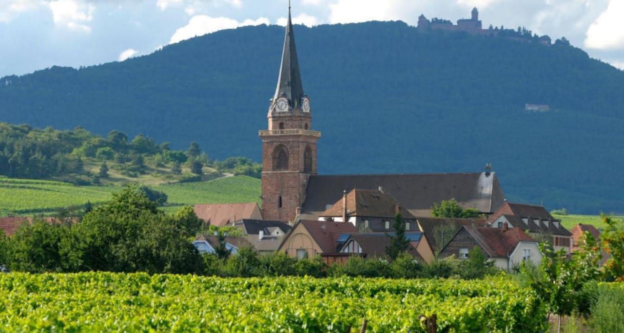 Charmant logement au cœur des vignes Bergheim Extérieur photo