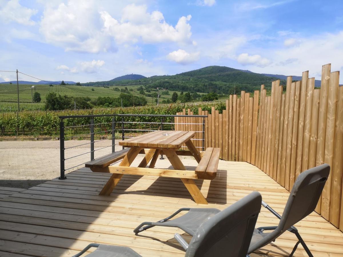 Charmant logement au cœur des vignes Bergheim Extérieur photo