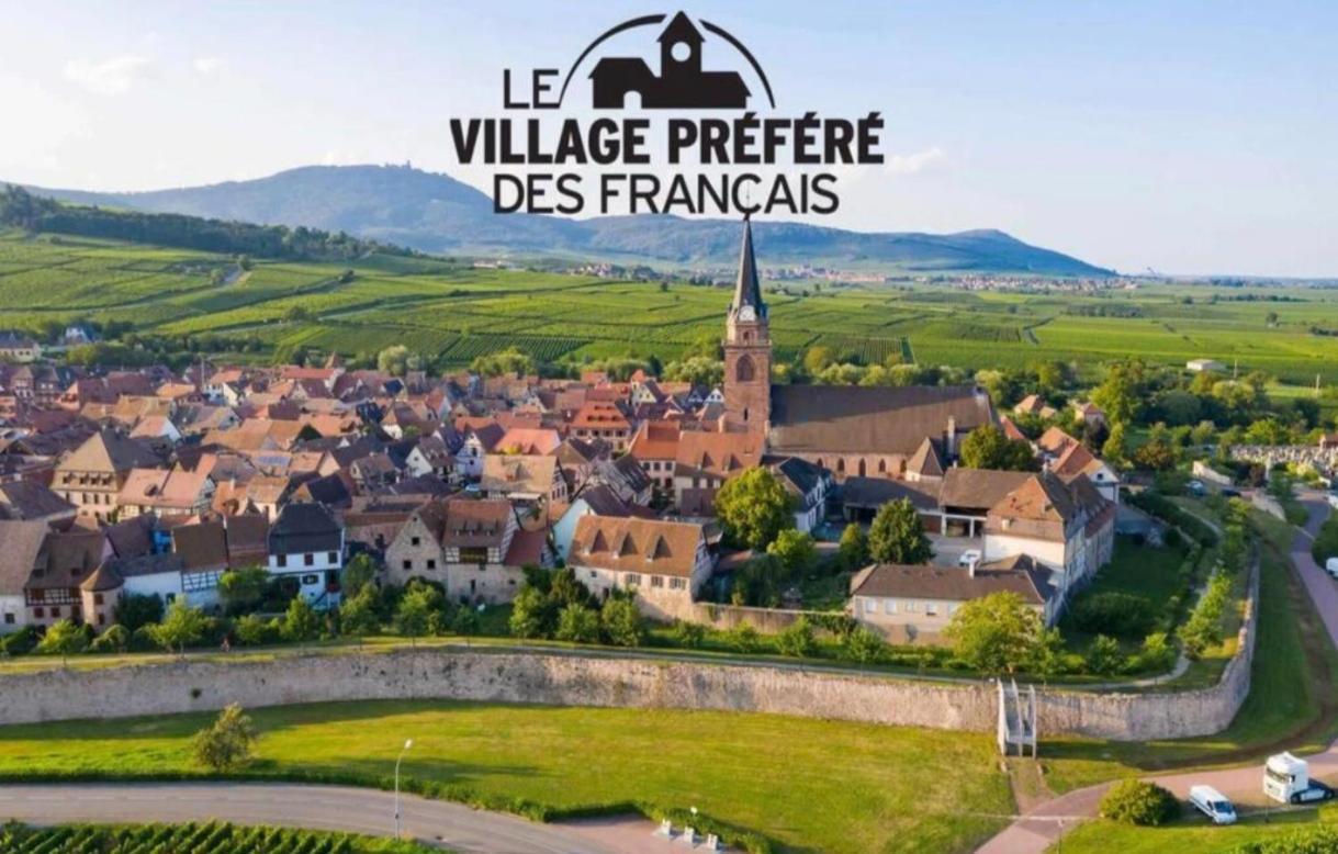 Charmant logement au cœur des vignes Bergheim Extérieur photo